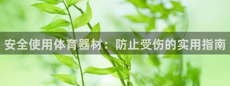 星欧娱乐属于什么档次：安全使用体育器材：防止受伤的实