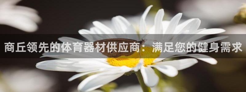 星欧娱乐挂机教程视频：商丘领先的体育器材供应商：满足