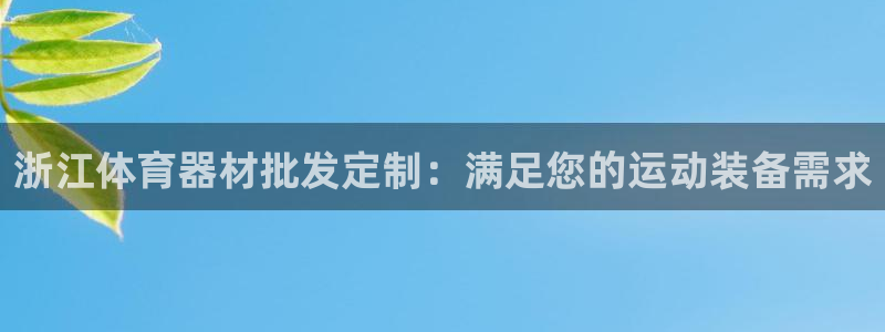 星欧娱乐公司创始人背景故事简介：浙江体育器材批发定制